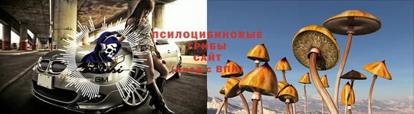 скорость Баксан