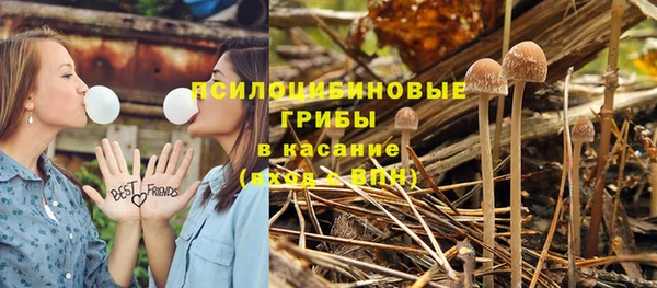 гидра Балахна
