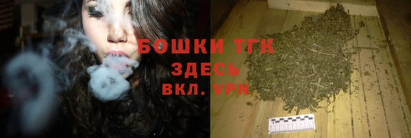 гидра Балахна