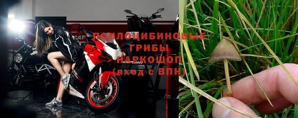 гидра Балахна