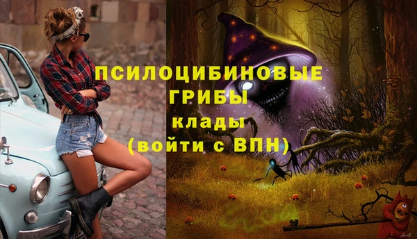 apvp Балабаново