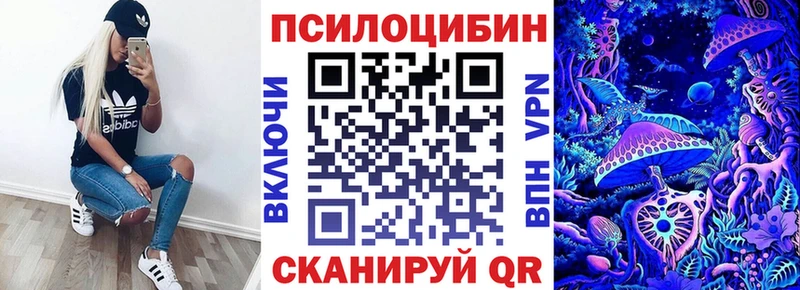 сколько стоит Серов Псилоцибиновые грибы MAGIC MUSHROOMS